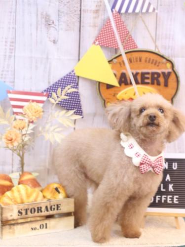 20240907メルちゃん